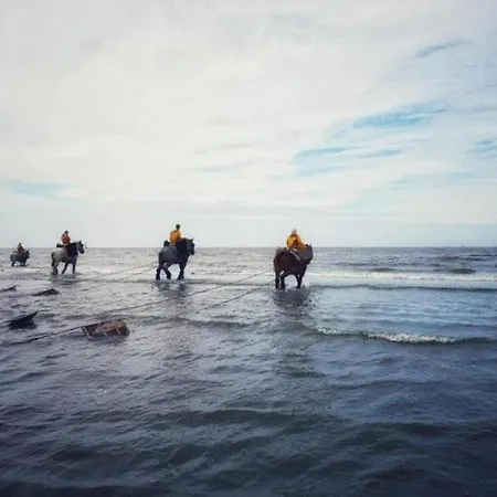 On The Coast With Access, Cleaning Included Daire